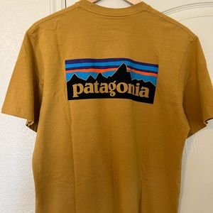 Patagonia Responsibili-Tee